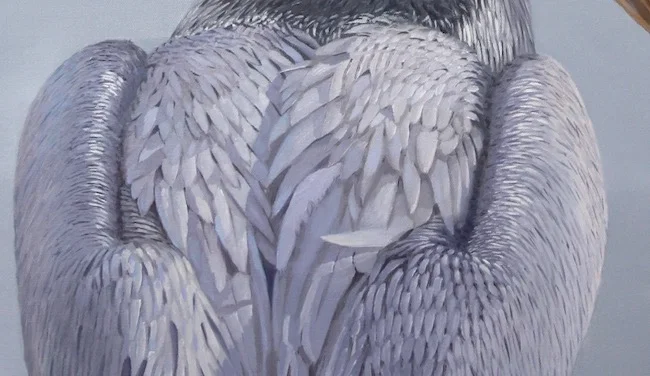 The Standout by William R. Beebe, feather detail
