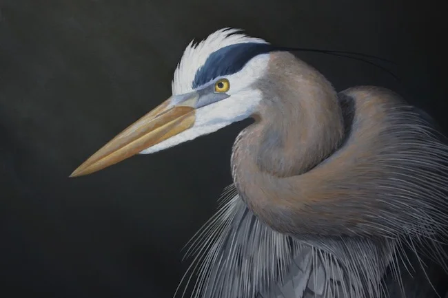 Night Vision by William R. Beebe, head detail