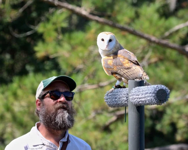 Stephen Schabel, Master bird handler!
