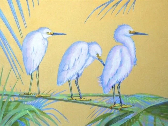 Don’t Look Down ~ #6 in the Yellow Foot Collection!