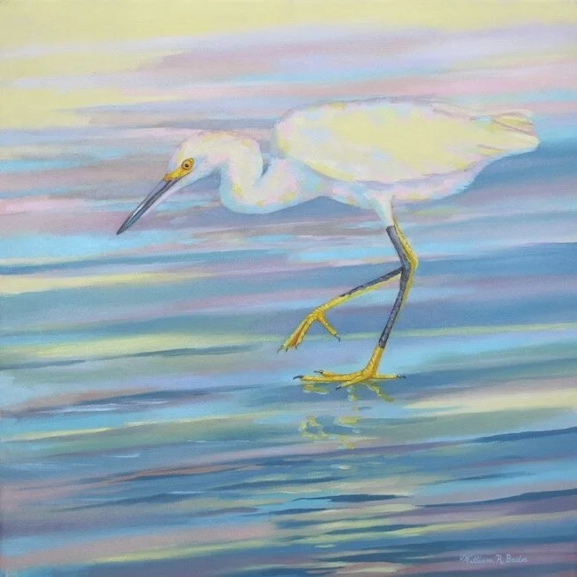 Sullivan’s Island Snowy ~ #9 in the Yellow Foot Collection!