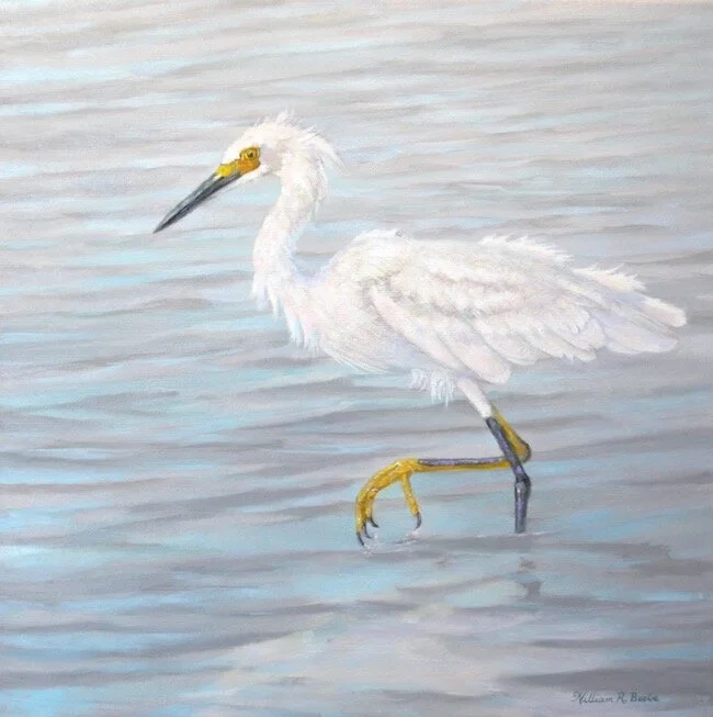 Kiawah Snowy by William R. Beebe, 20 x 20, Oil on canvas, $950 (Yellow Foot Collection Special Pricing)