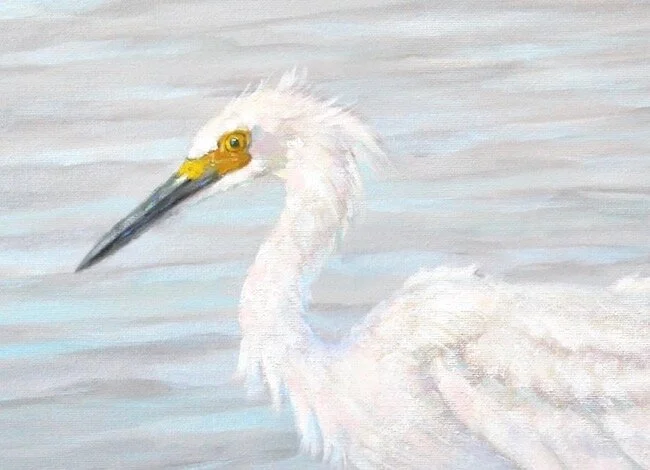 Kiawah Snowy by William R. Beebe, head and feather detail