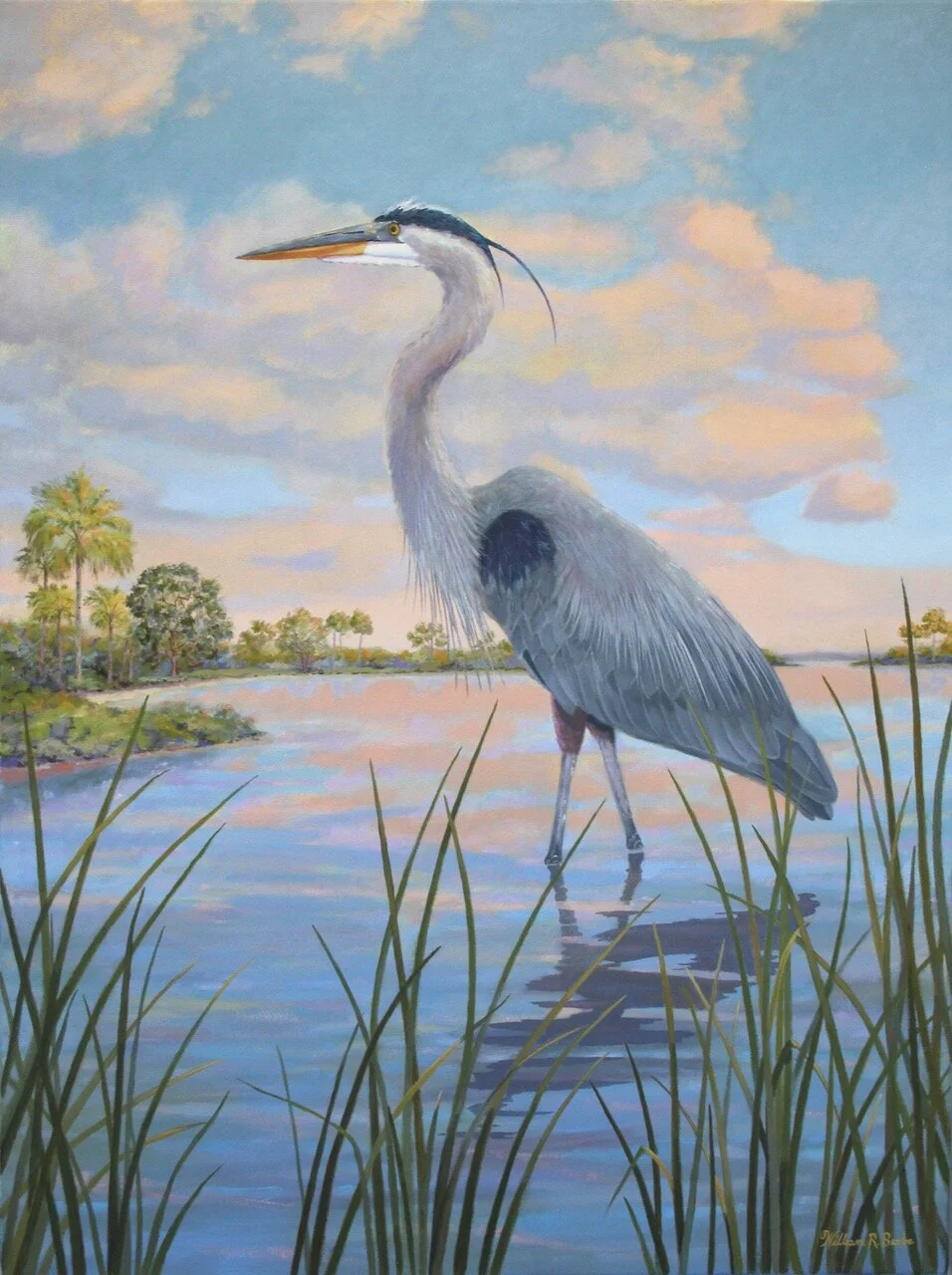 In Blue’s World ~ A Lowcountry Great Blue Heron!