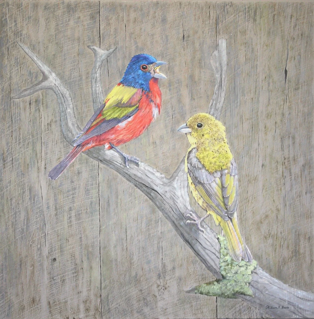 Outdoor Art~ Painted Buntings on barn wood! 