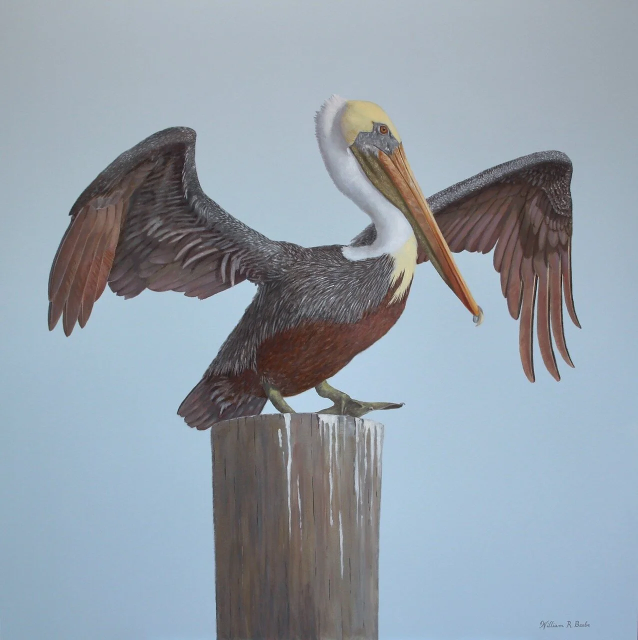 The Maestro ~ Wind Beneath My Wings!