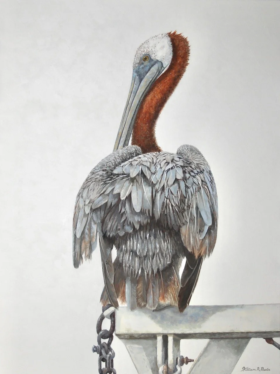 On the Watchtower ~ A Birdseye View! 