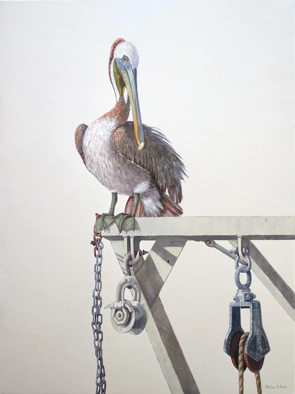 Atop His Ivory Tower ~ Portrait of a Brown Pelican! 