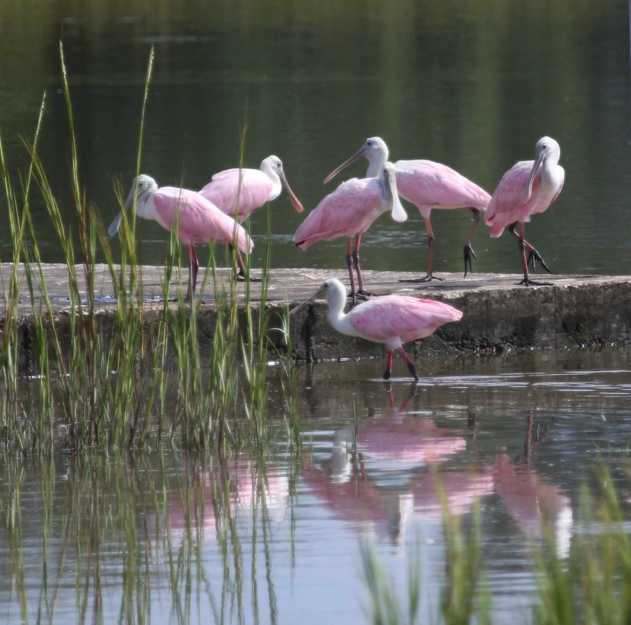 Mixing Business with Pleasure ~ Since We’re Heading That Way… 