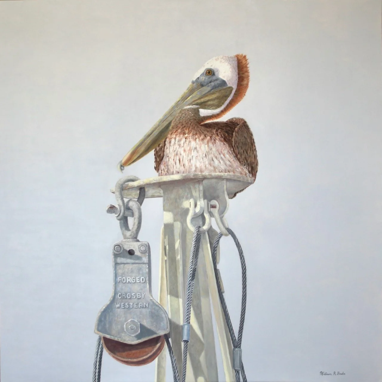 Above It All ~ Brown Pelican’s downtime!