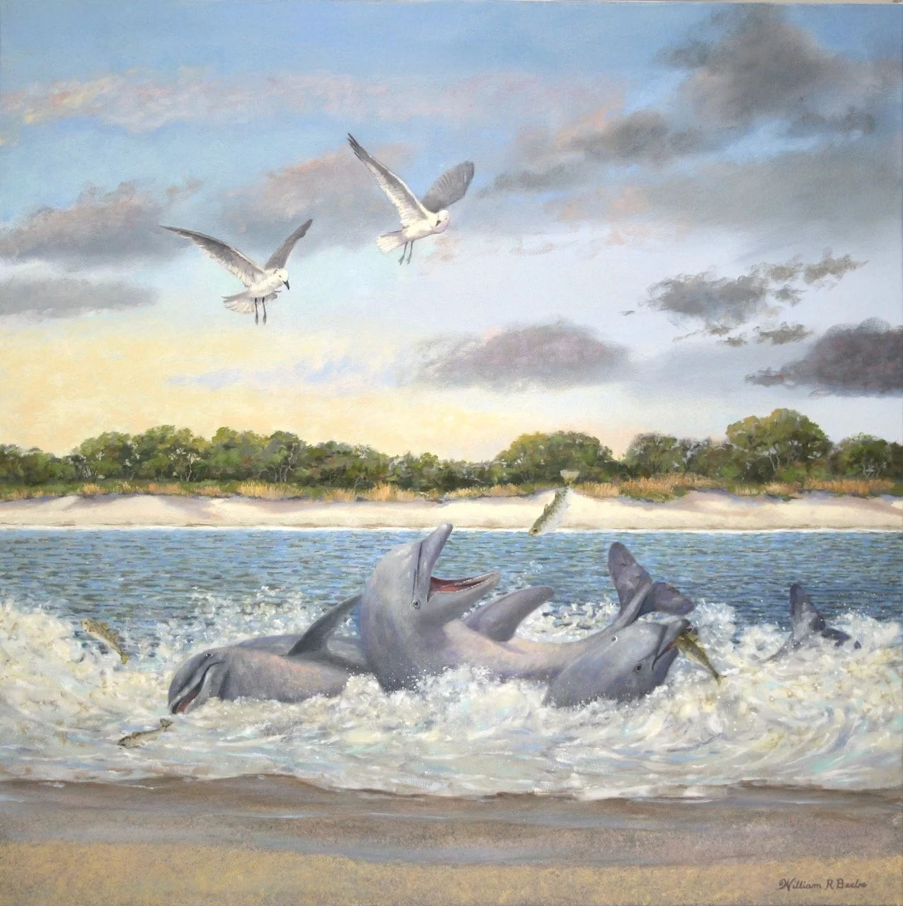 Brunch at Captain Sam’s Inlet ~ Dolphins strand feeding on Kiawah Island!