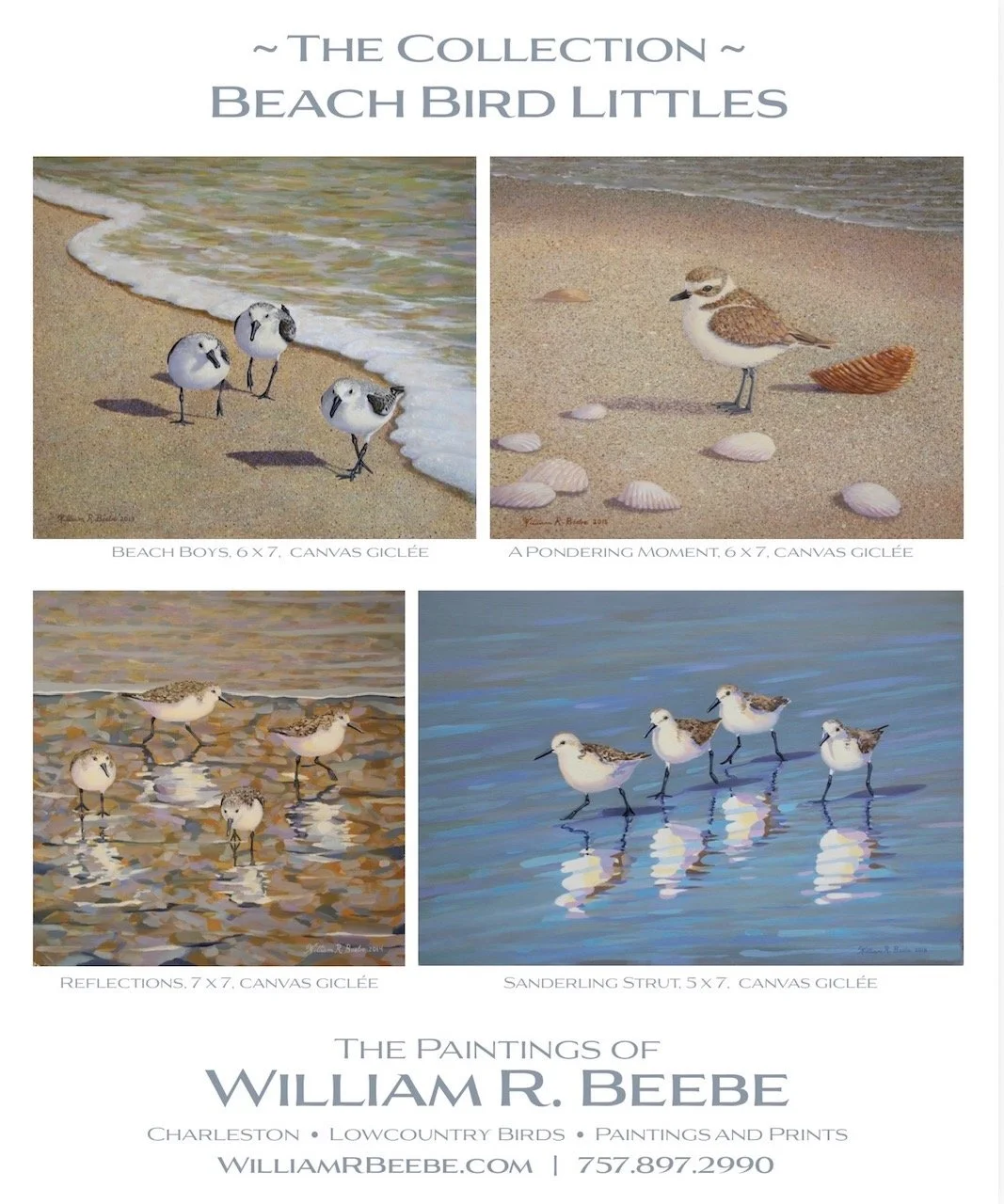 Thirty-six Years in the Making ~ from notecards to Beach Bird Littles!