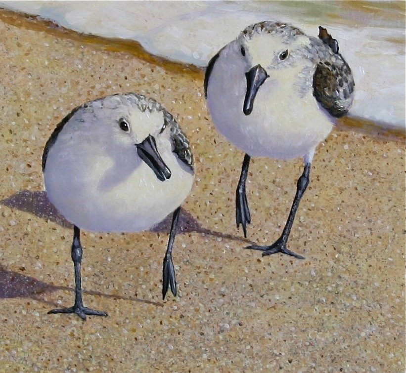 Beach-boys-by-William-R-Beebe-detail birds.jpeg