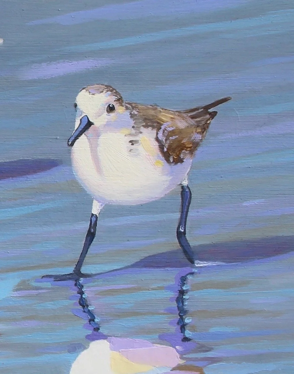 Sanderling-Strut-by-William-R-Beebe-close-up.jpeg