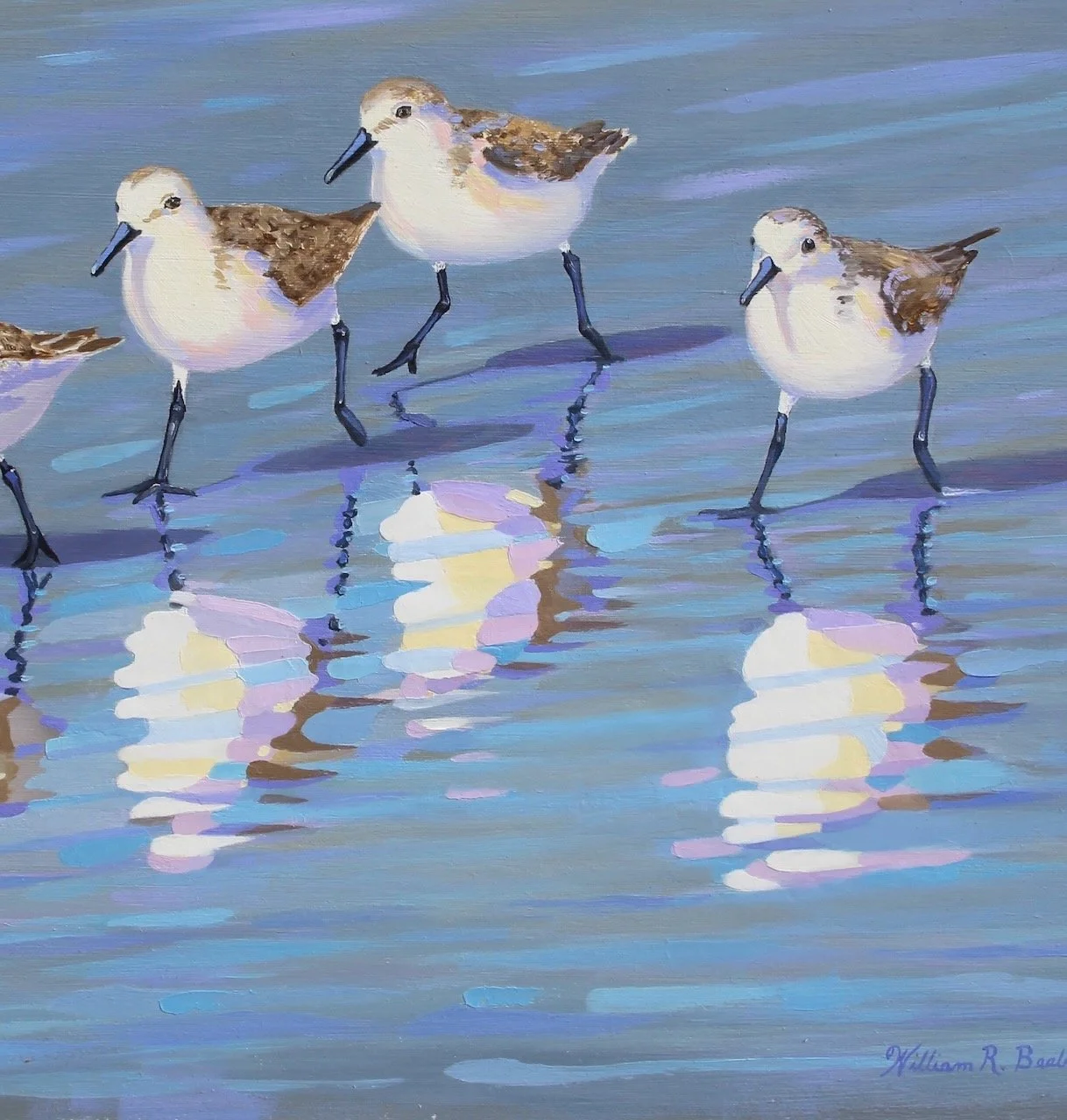Sanderling-Strut-by-William-R-Beebe-detail.jpeg