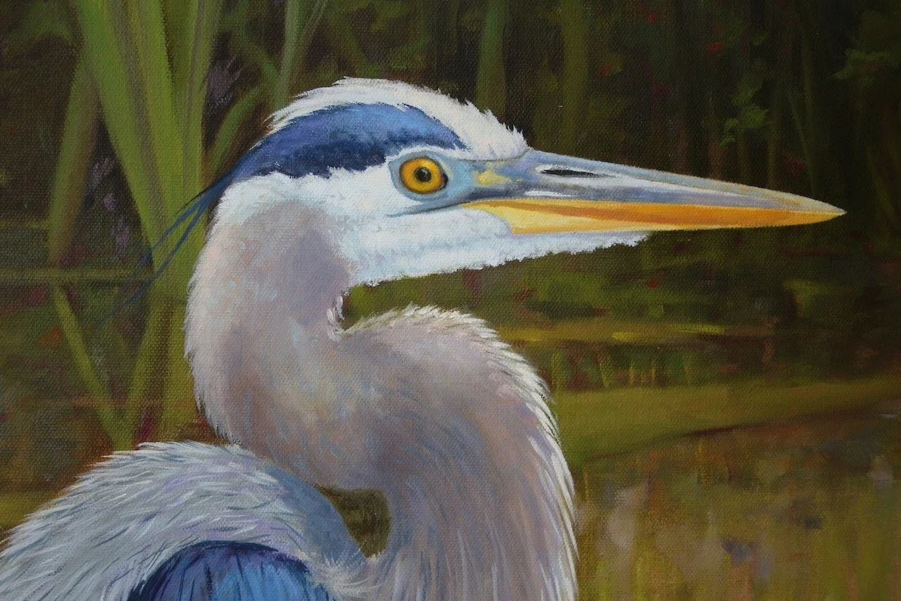 Dress-Blues-by-William-R-Beebe-head-close-up.jpeg
