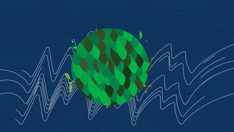 EYEO_2019_1.gif