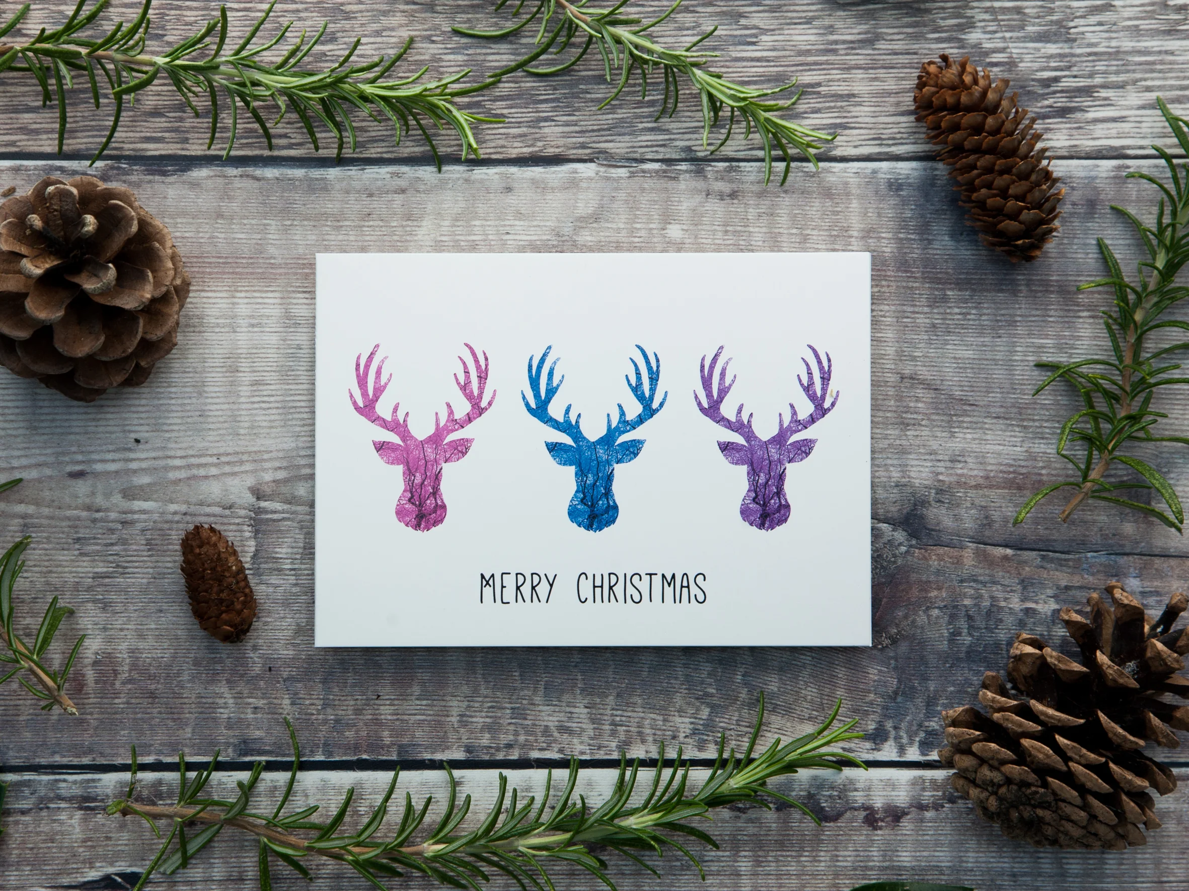 Pink, Blue & Purple Stag / Reindeer Christmas Cards