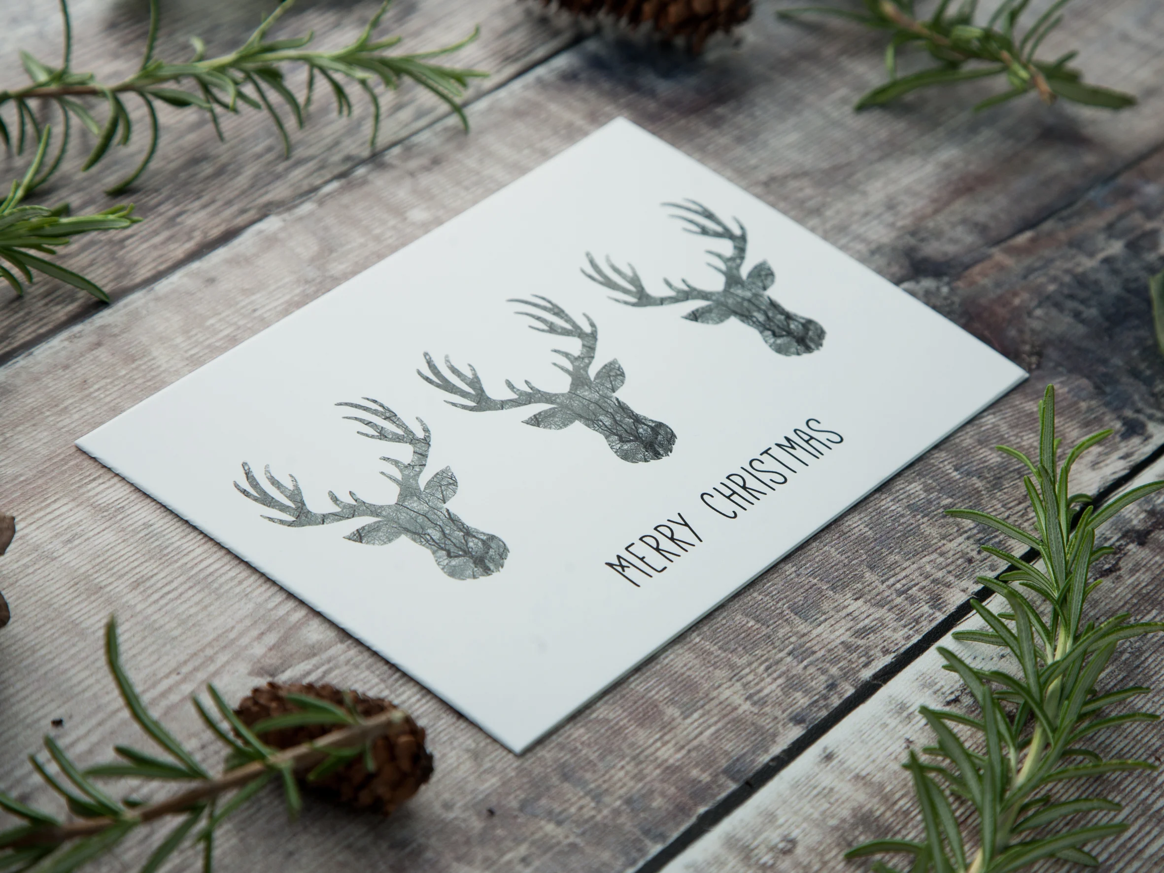 Monochrome Stag / Reindeer Christmas Cards