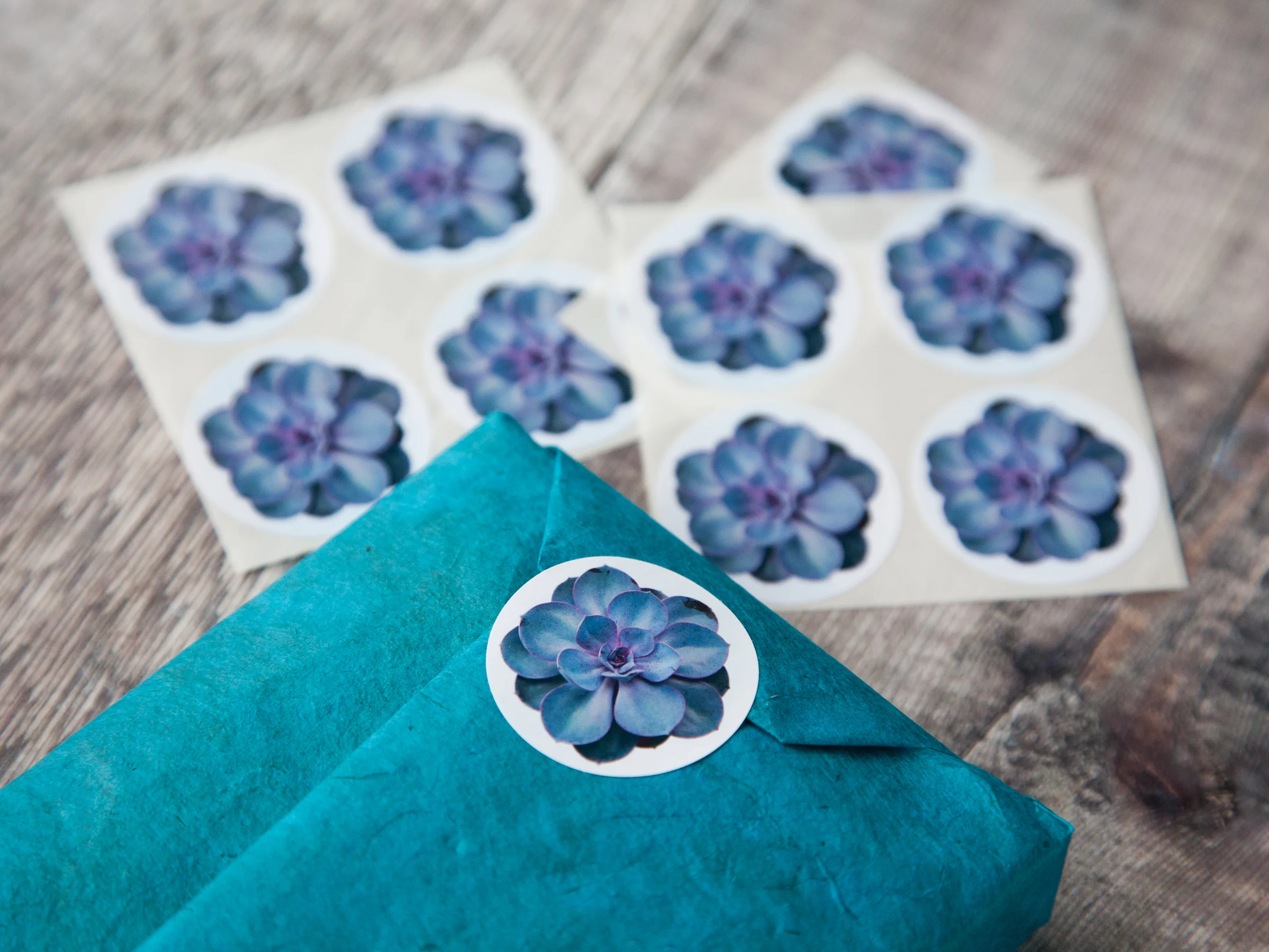 Purple Succulent Stickers-0002.jpg