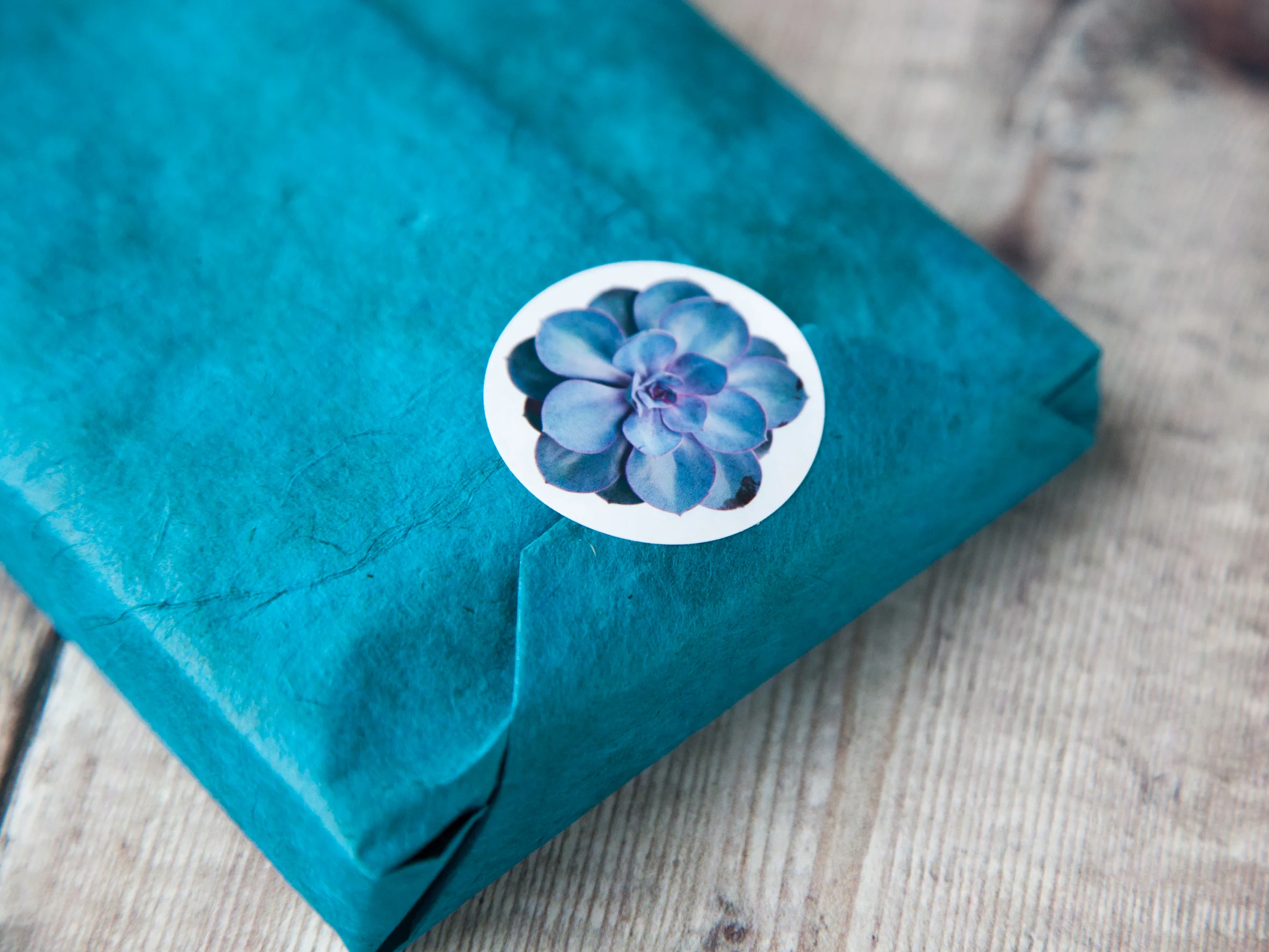 Purple Succulent Stickers-0007.jpg