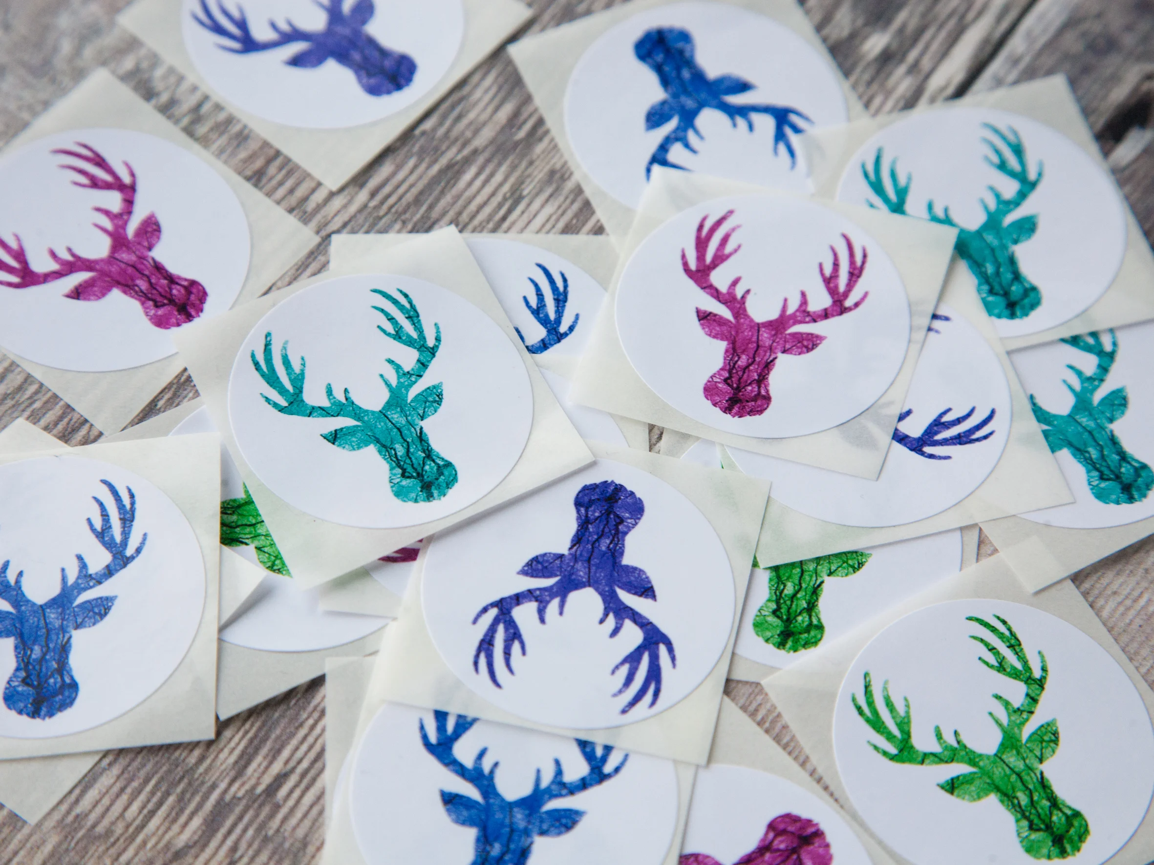 Coloured Stag Stickers-0024.jpg