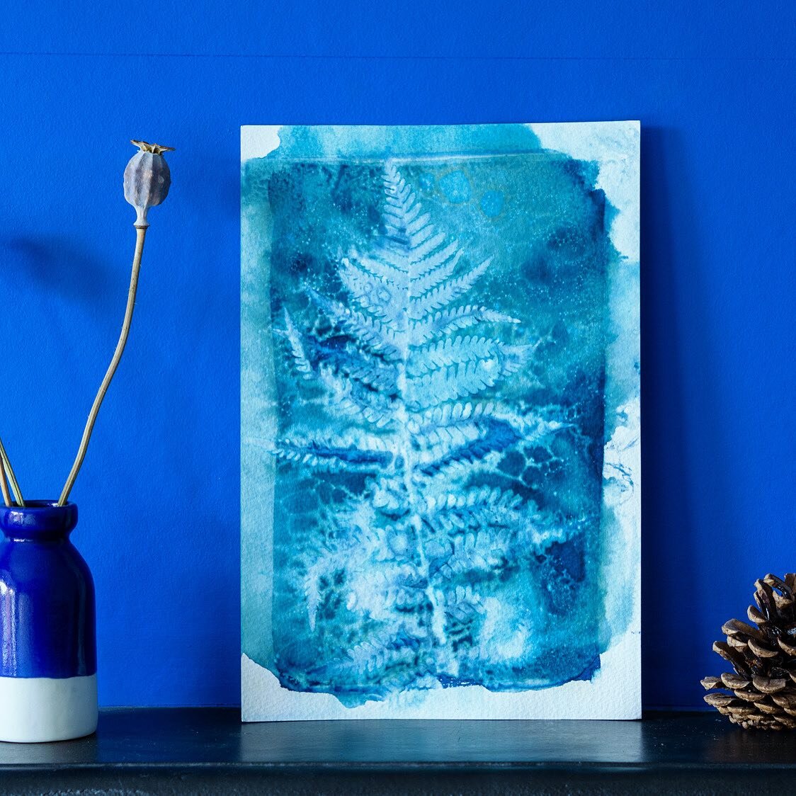 ✨Cyanotype sale✨ Hello, it&rsquo;s been a while! To celebrate *hopefully* getting back into the swing of things I&rsquo;ve got 25% off all original cyanotype prints in the shop for the whole of January. I&rsquo;ve also reopened my Etsy store for my E