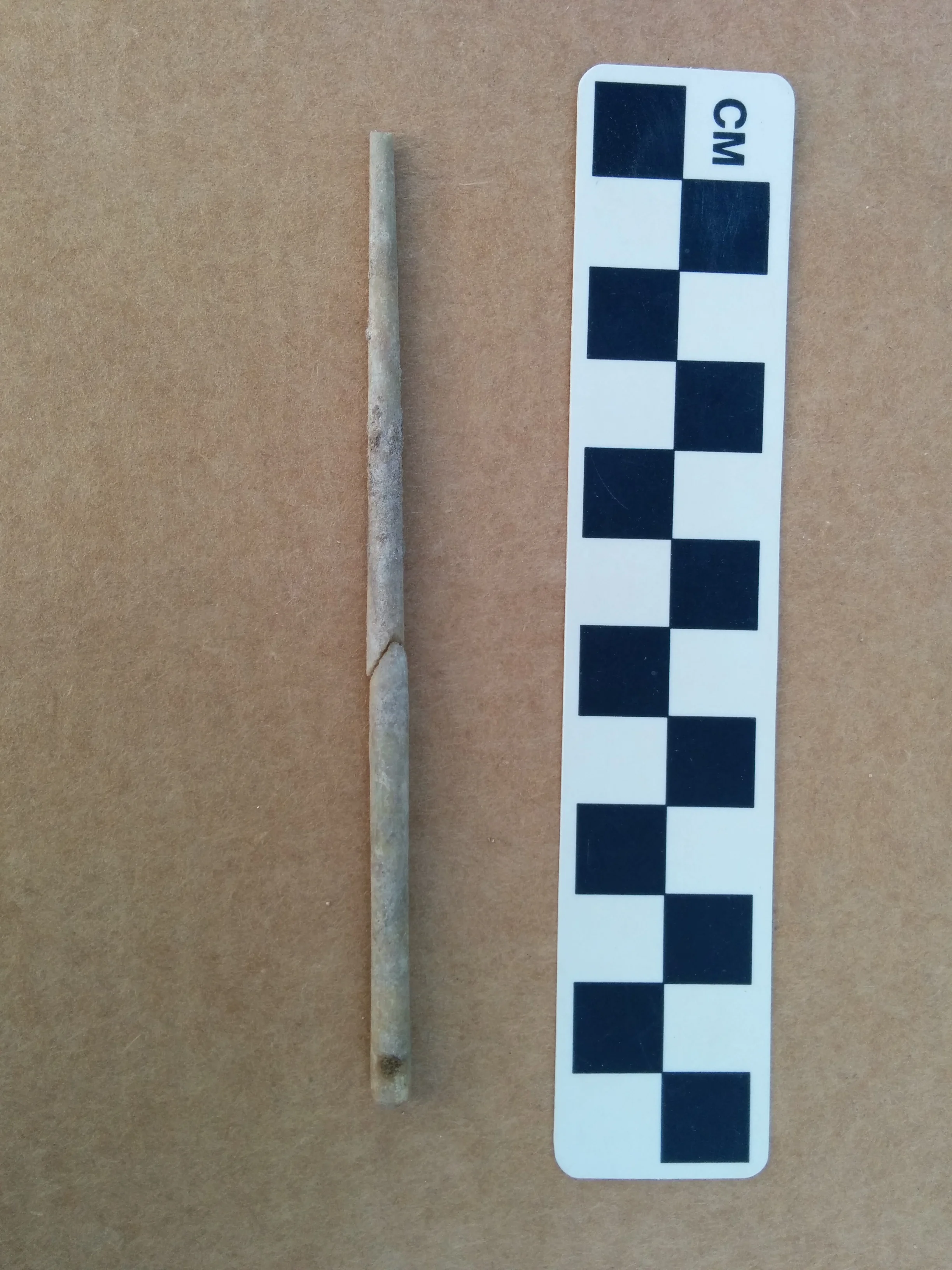 Fibula