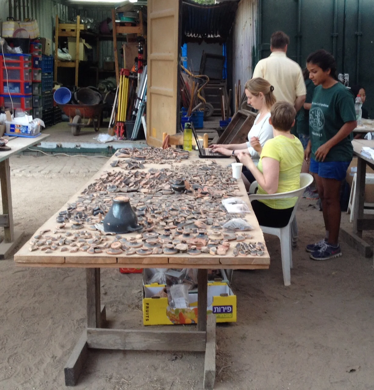 Pottery laid out for cataloging