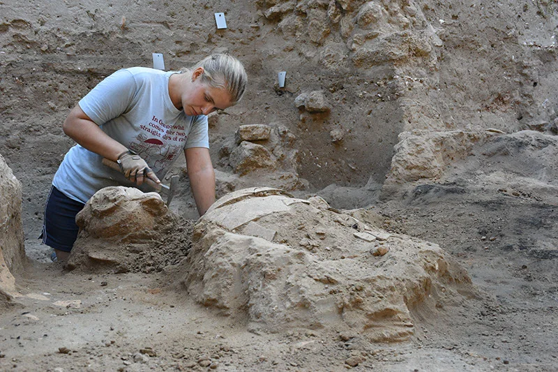 Excavating destroyed vessels