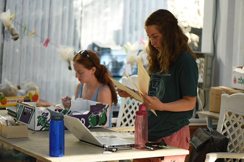 Meghan and Katie prepare objects for the Finds Display