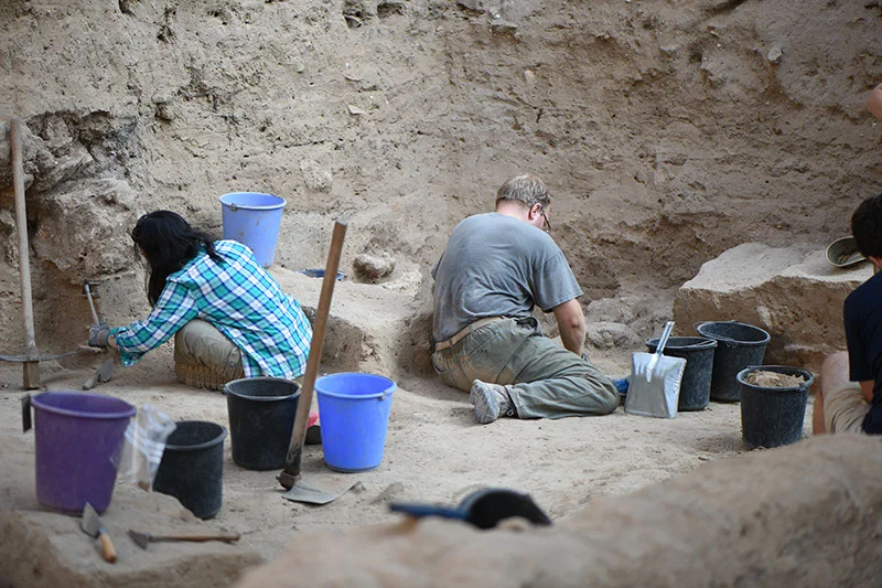 Excavating in Grid 51