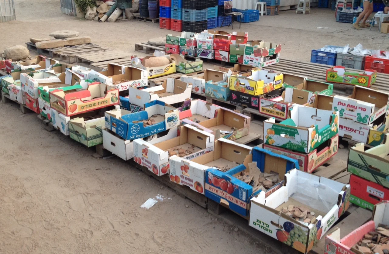 Pottery waiting to be sorted, read and inventoried.