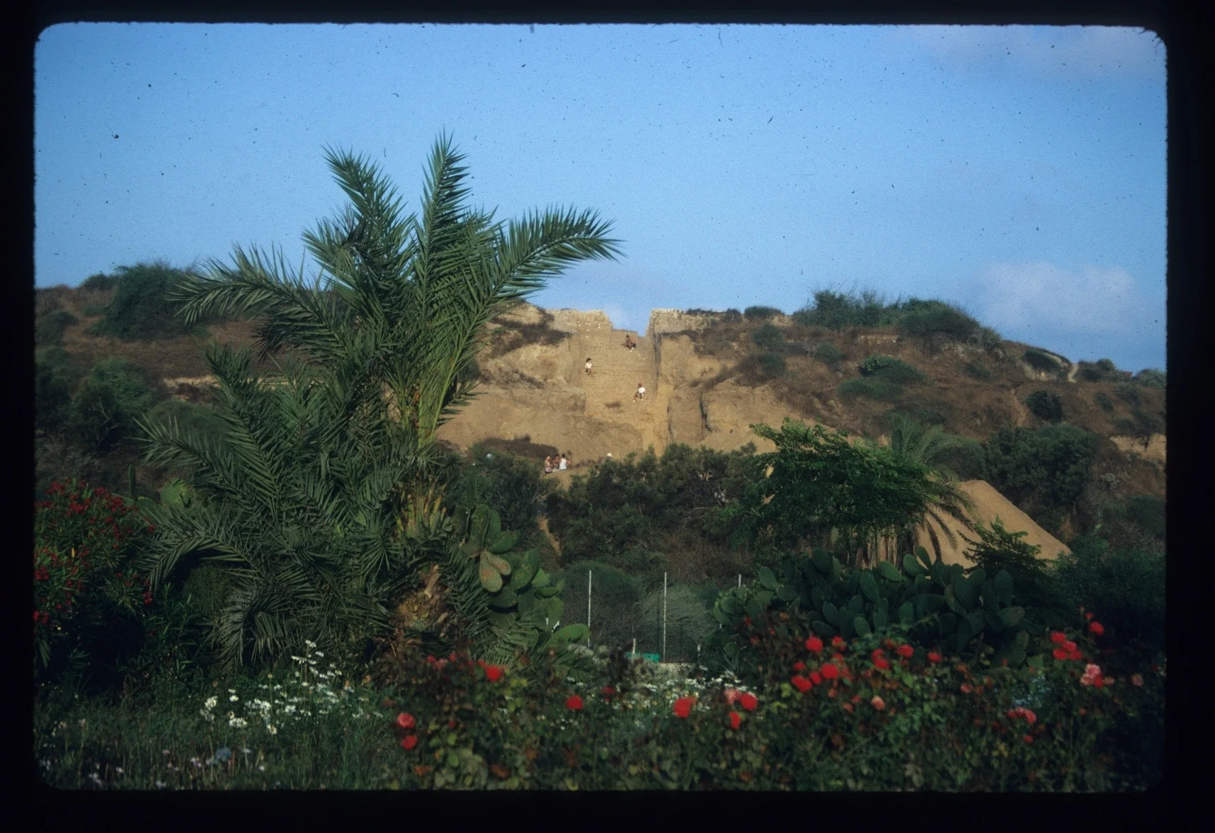 Looking south, from the area of the Club Med, towards the MB rampart.
