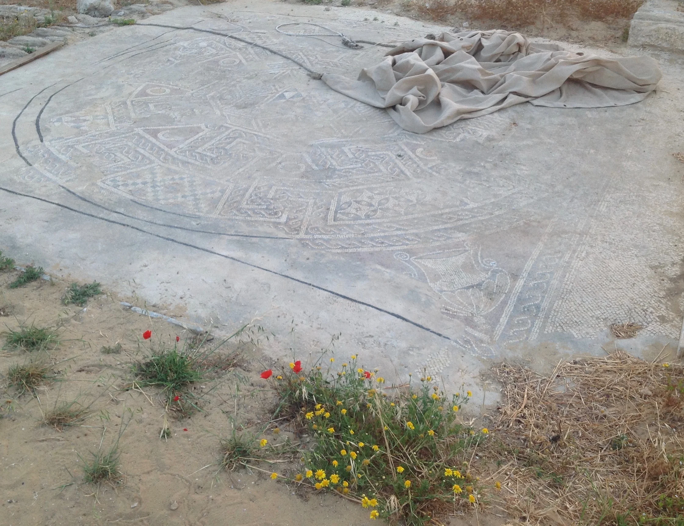 Mosaic south of the gate on the North Tell