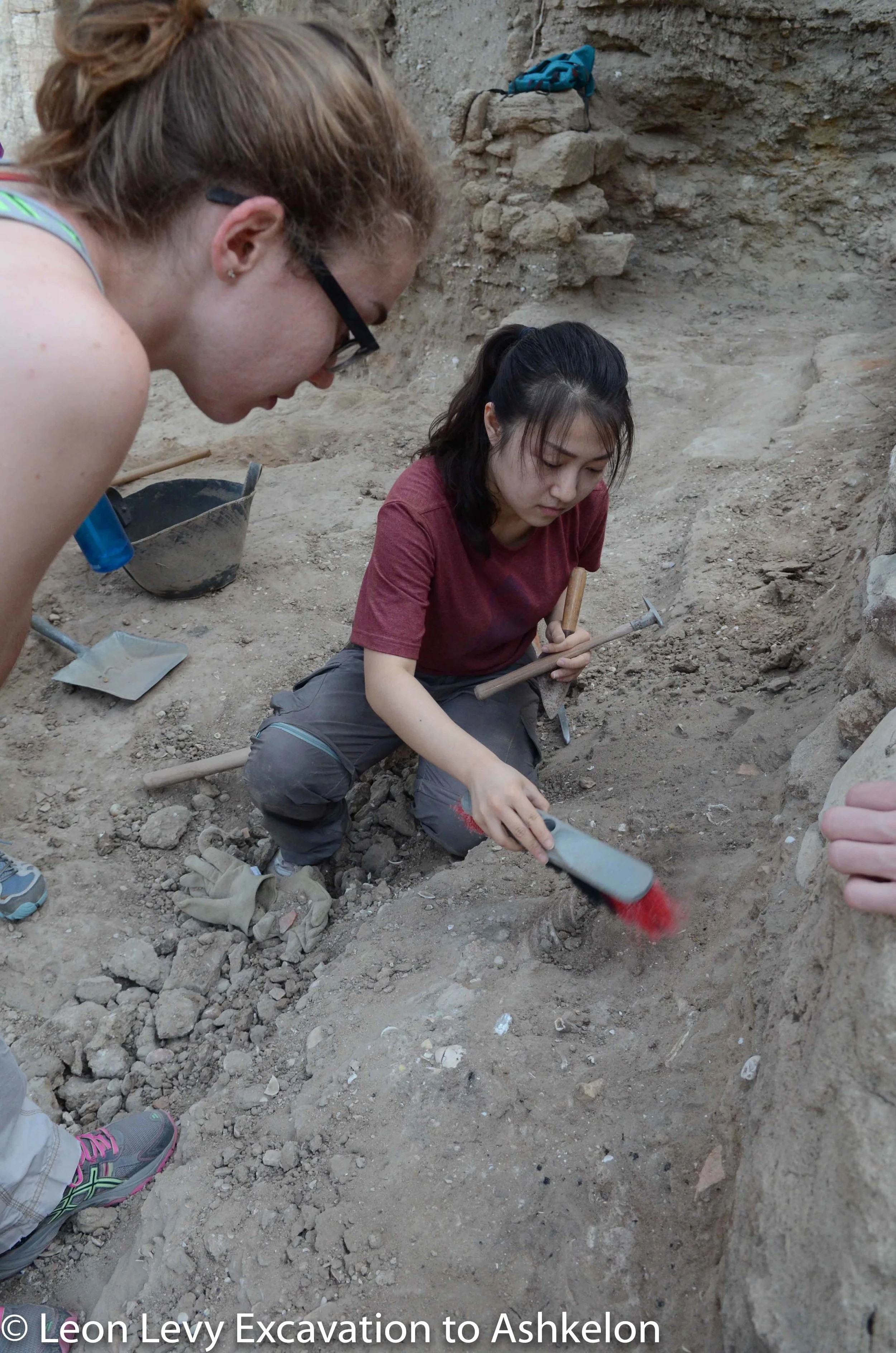 A dog burial found in a Persian period street