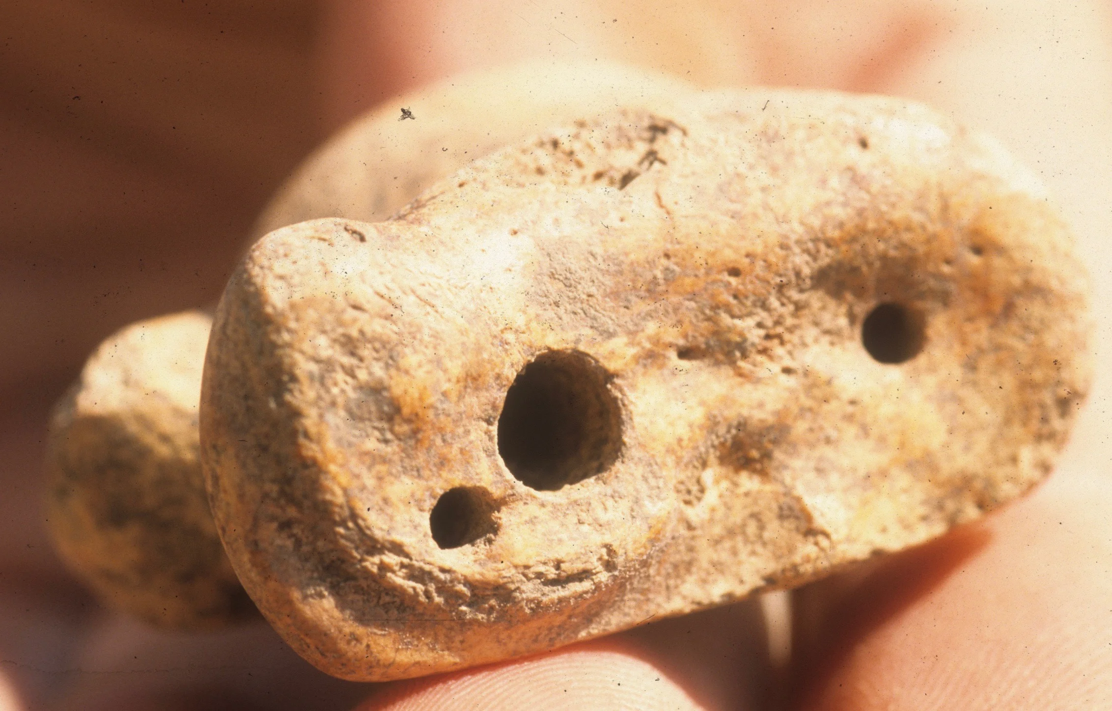 Worked bone. Holes were drilled to allow for the insertion of lead.