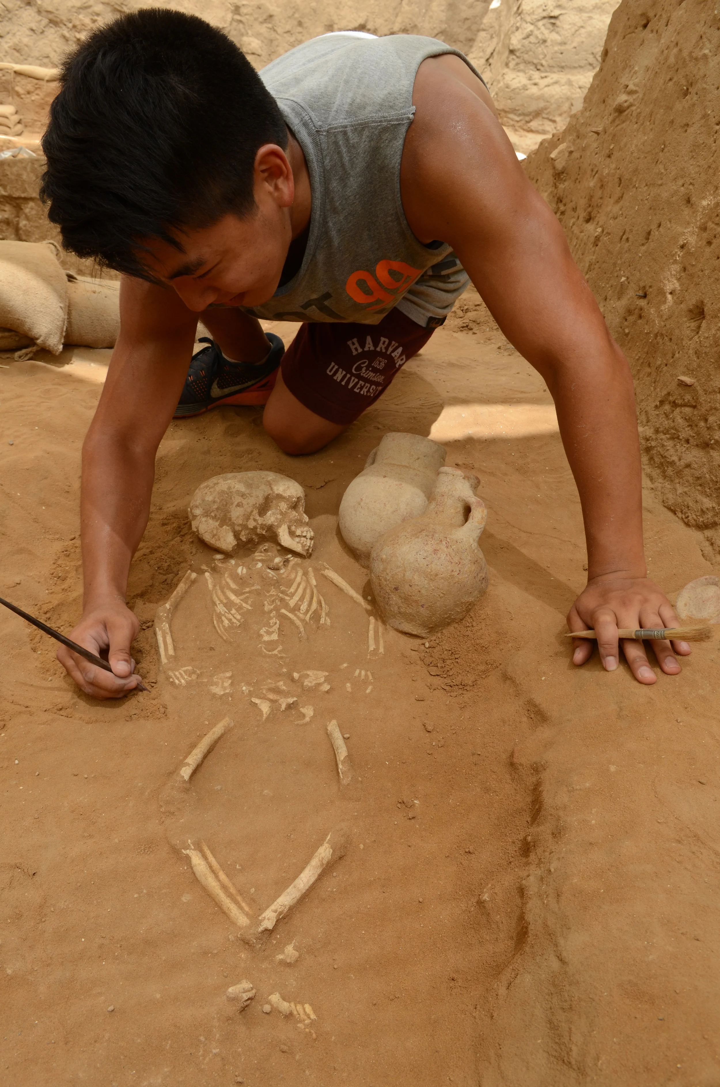 Student excavates a 10th-9th century BC burial in the excavation of the Philistine cemetery by the Leon Levy Expedition to Ashkelon ©Melissa Aja /Leon Levy Expedition