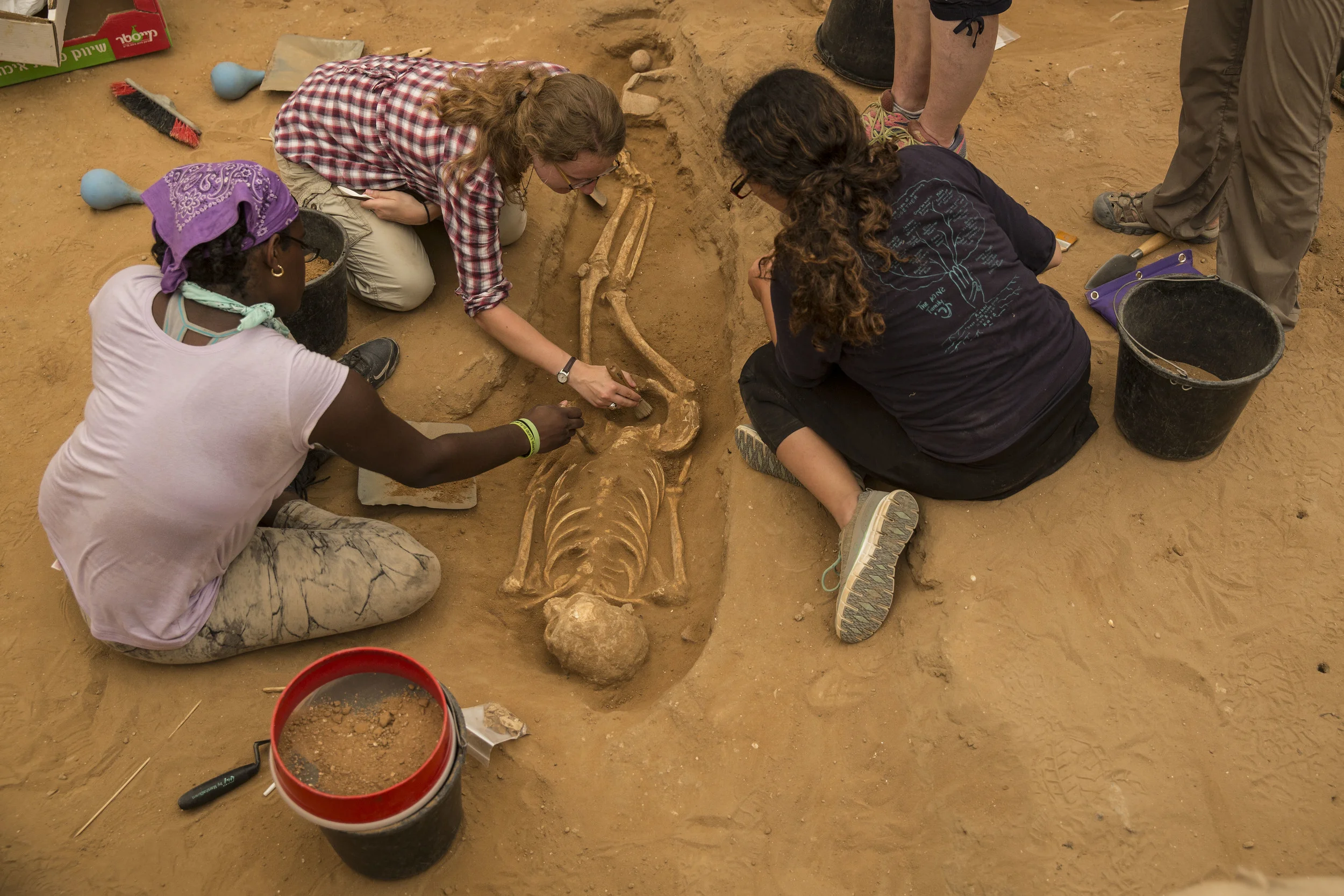  Students work to expose a 10th-9th century BC burial in the excavation of the Philistine cemetery by the Leon Levy Expedition to Ashkelon  ©Tsafrir Abayov/Leon Levy Expedition 