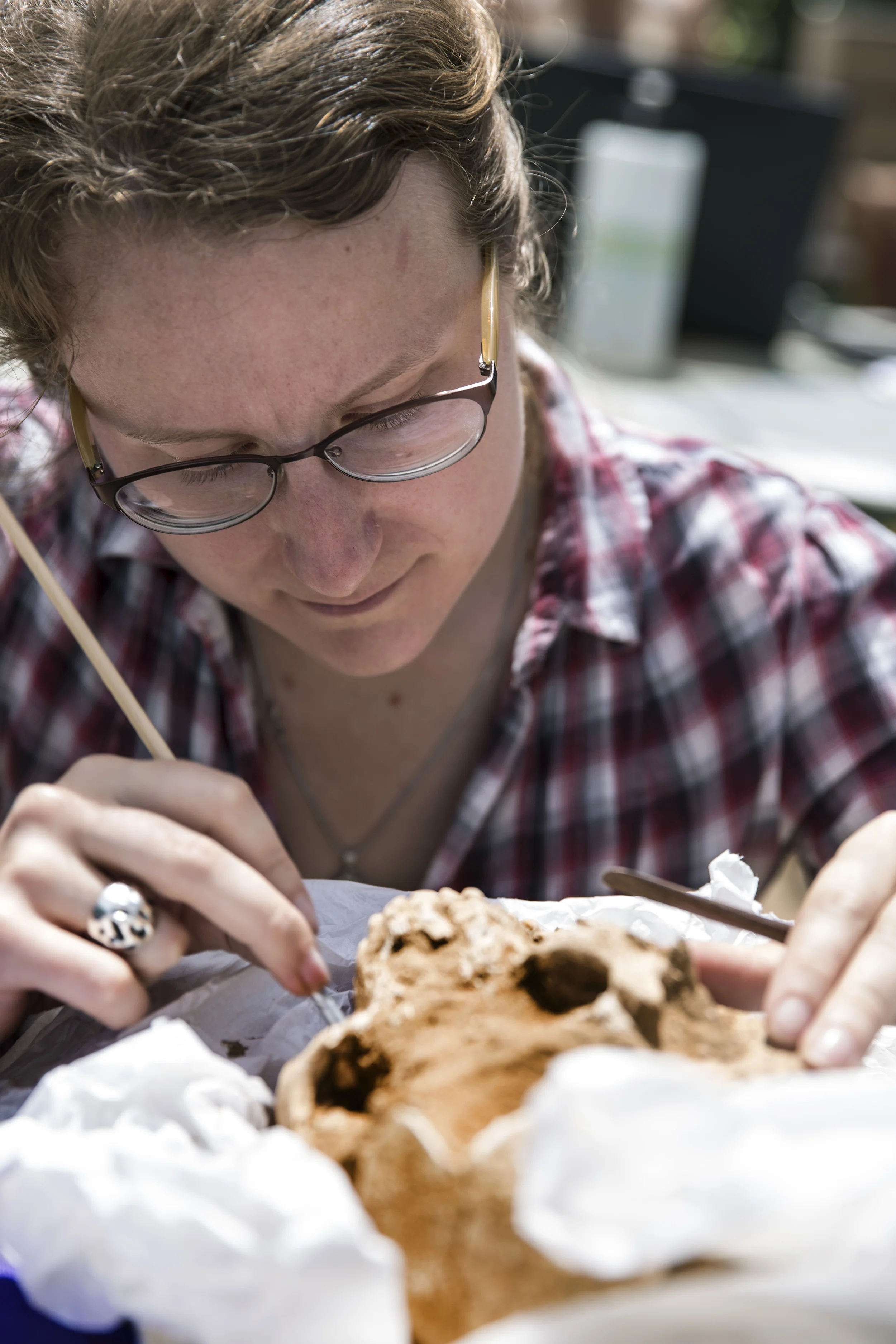  Member of the physical anthropology team works on a skull from a 10th-9th century BC burial in the excavation of the Philistine cemetery by the Leon Levy Expedition to Ashkelon  ©Tsafrir Abayov/Leon Levy Expedition 