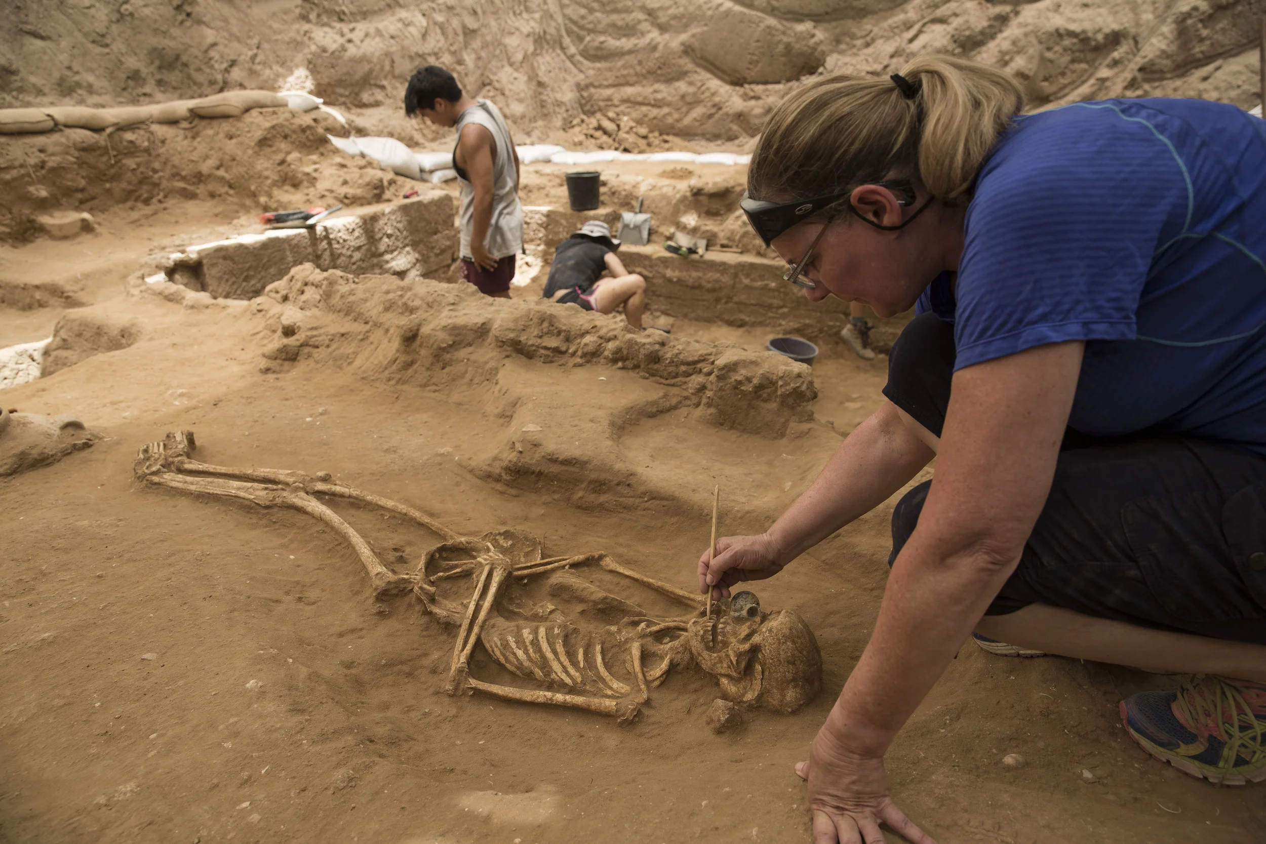  Physical anthropologist Sherry Fox examines a 10th-9th century BC burial in the excavation of the Philistine cemetery by the Leon Levy Expedition to Ashkelon  ©Tsafrir Abayov/Leon Levy Expedition 