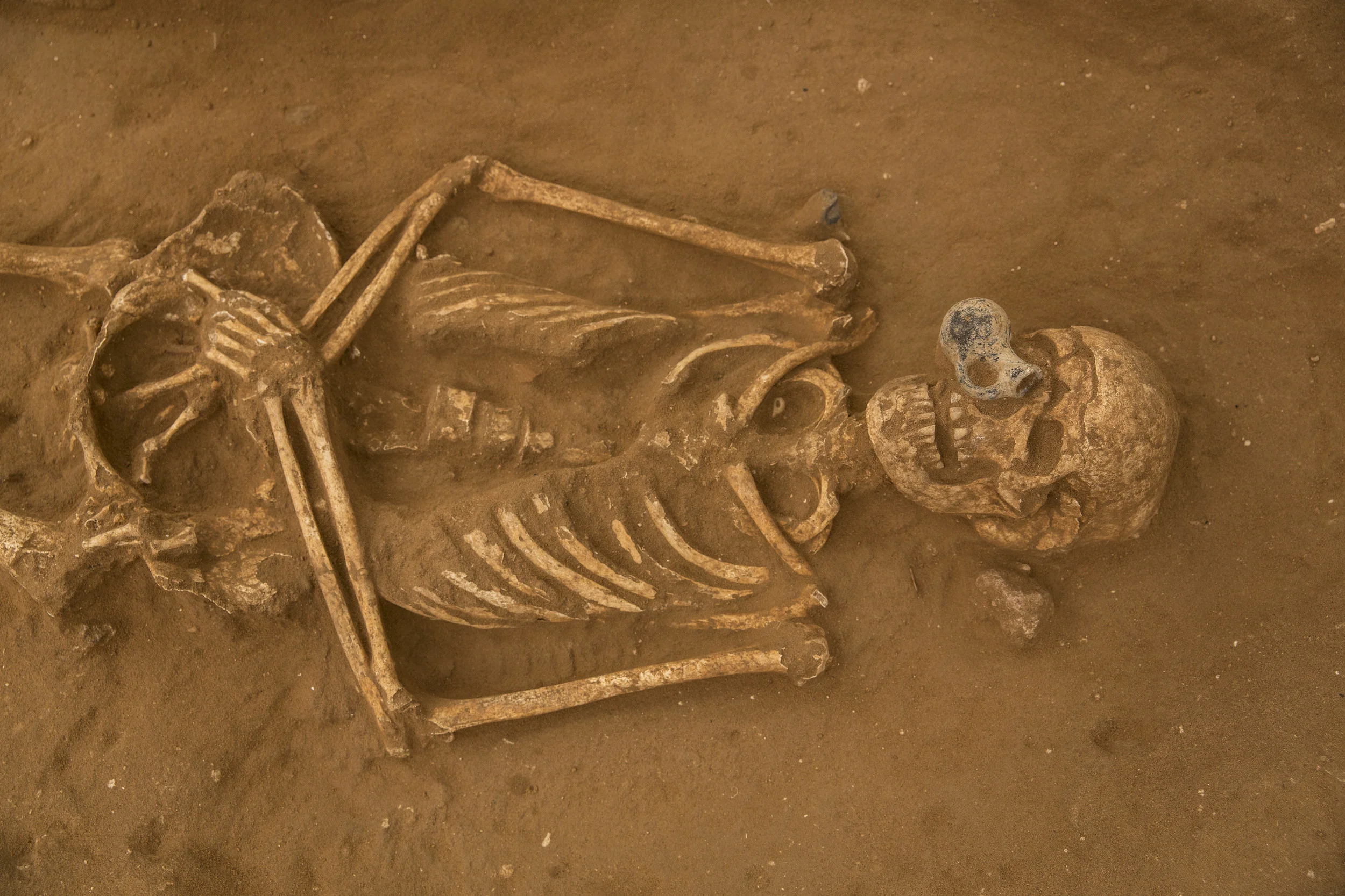  10th-9th century BC burial in the excavation of the Philistine cemetery by the Leon Levy Expedition to Ashkelon  ©Tsafrir Abayov/Leon Levy Expedition 