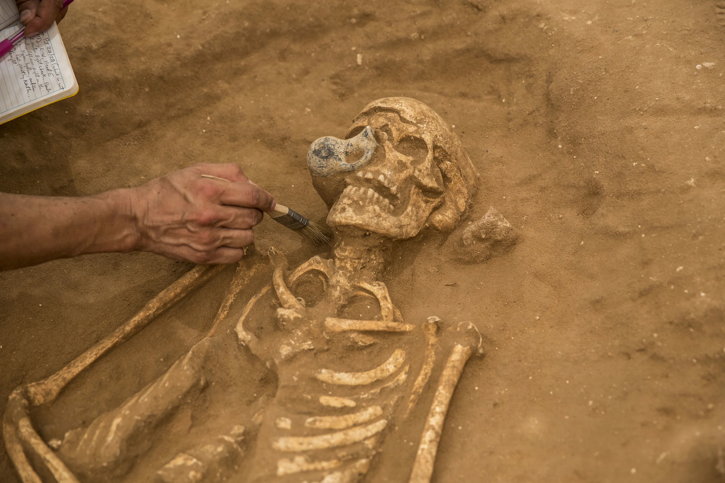  10th-9th century BC burial in the excavation of the Philistine cemetery by the Leon Levy Expedition to Ashkelon  ©Tsafrir Abayov/Leon Levy Expedition 