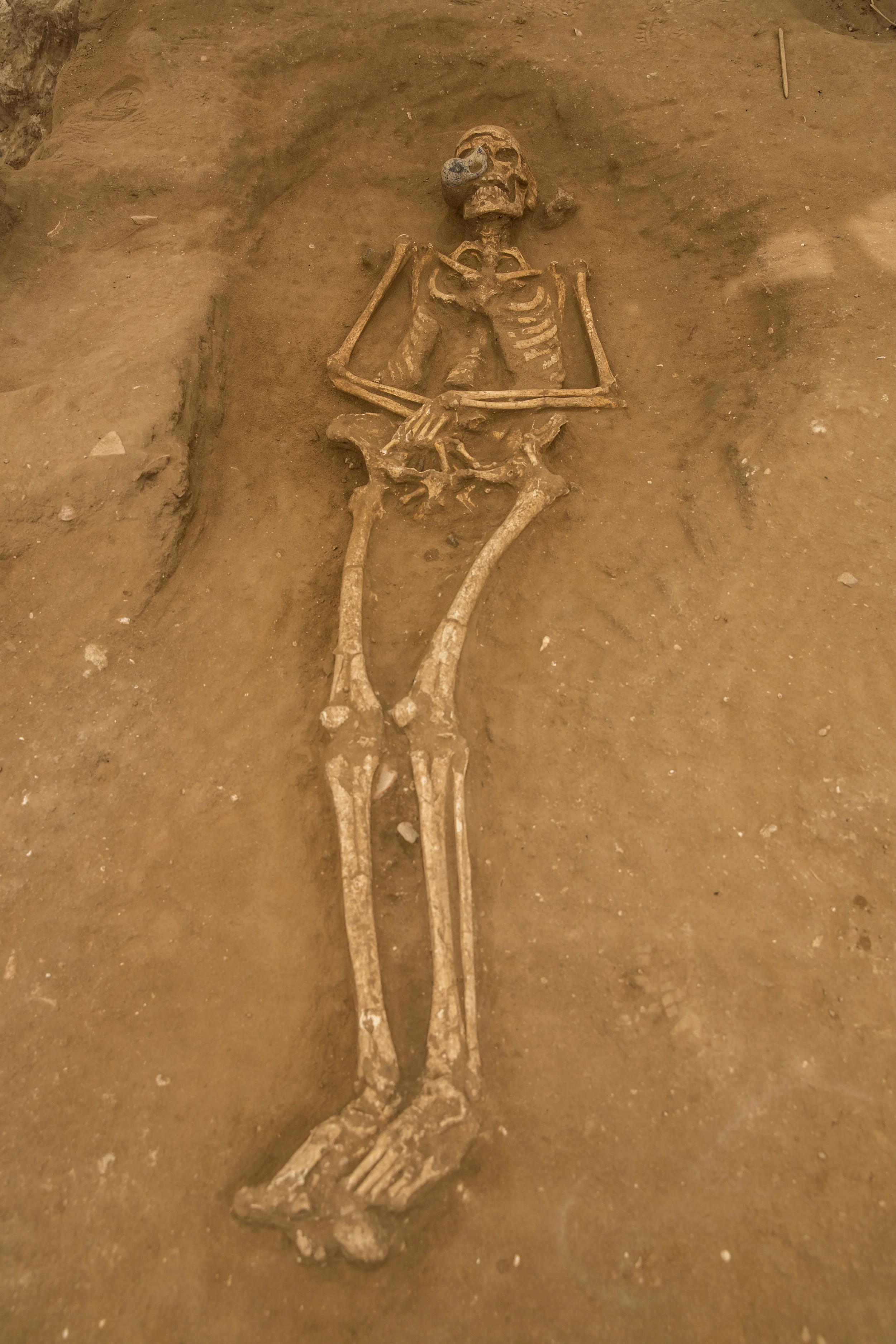  10th-9th century BC burial in the excavation of the Philistine cemetery by the Leon Levy Expedition to Ashkelon  ©Tsafrir Abayov/Leon Levy Expedition 