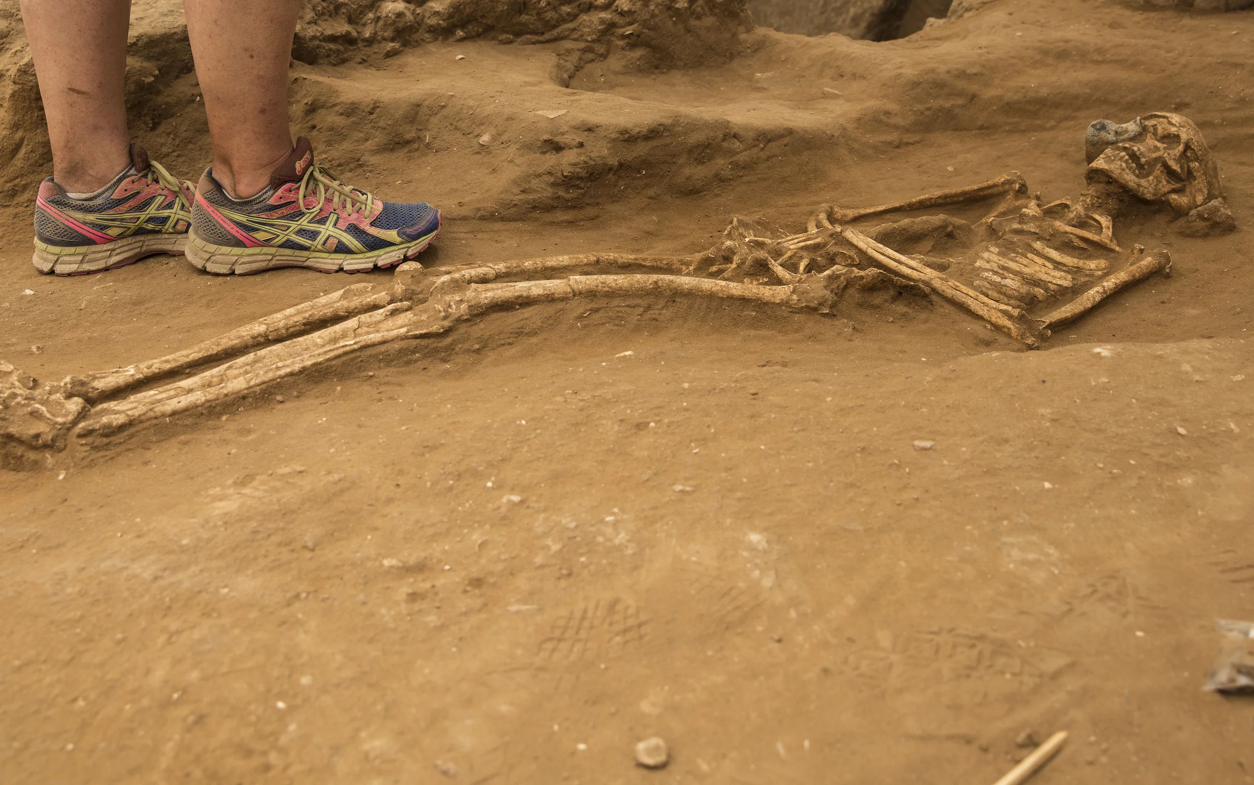  10th-9th century BC burial in the excavation of the Philistine cemetery by the Leon Levy Expedition to Ashkelon  ©Tsafrir Abayov/Leon Levy Expedition 