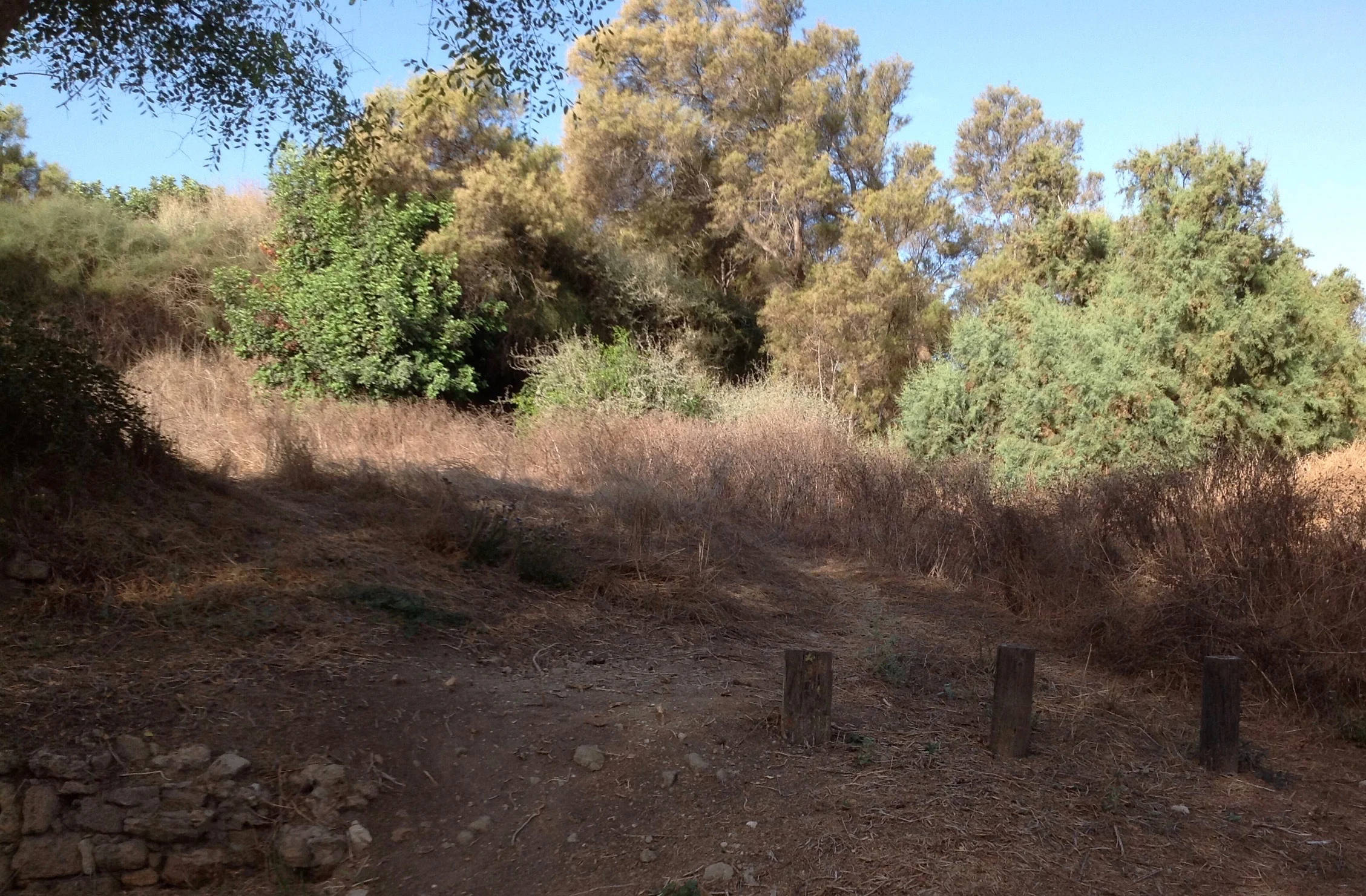 Grid 37 -- excavated 1986-1987