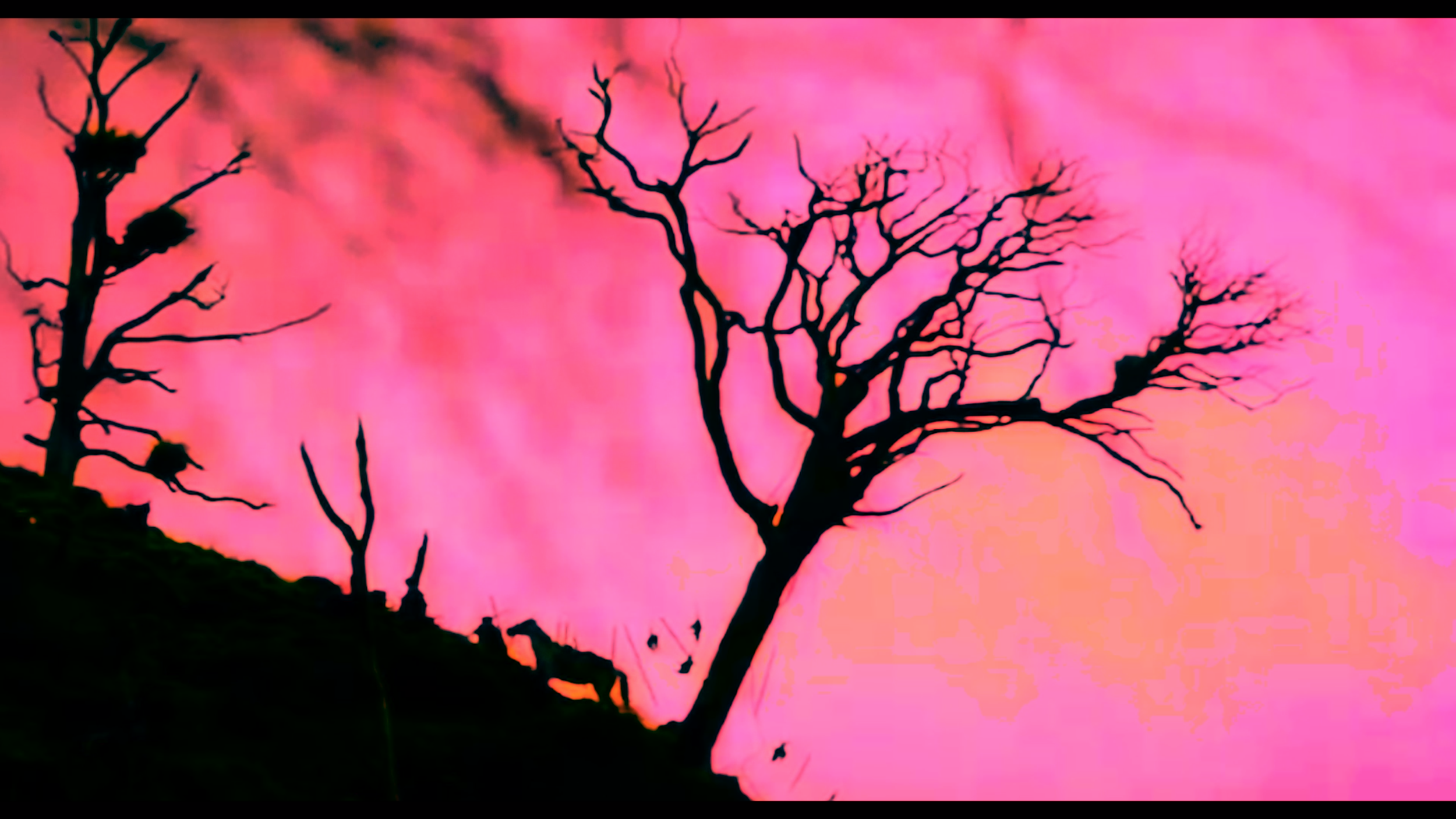 Screen Shot 2019-04-04 at 9.24.18 AM.png