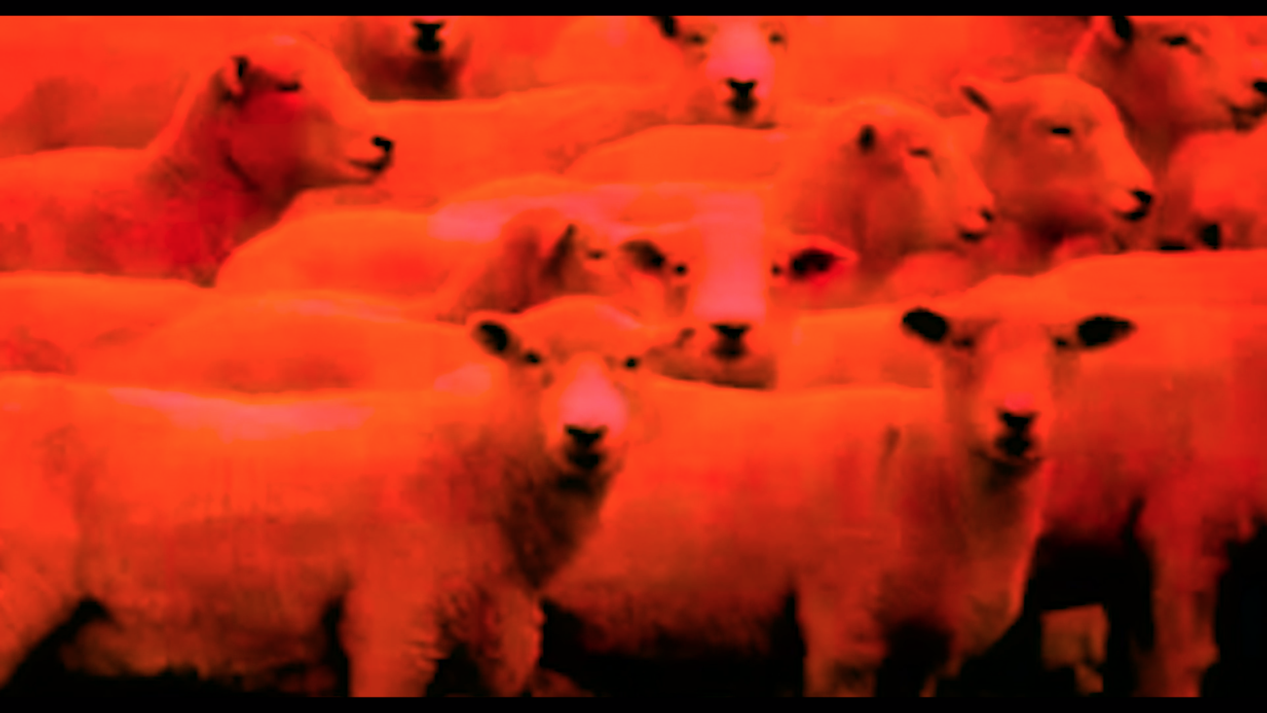 Screen Shot 2019-04-04 at 9.23.52 AM.png