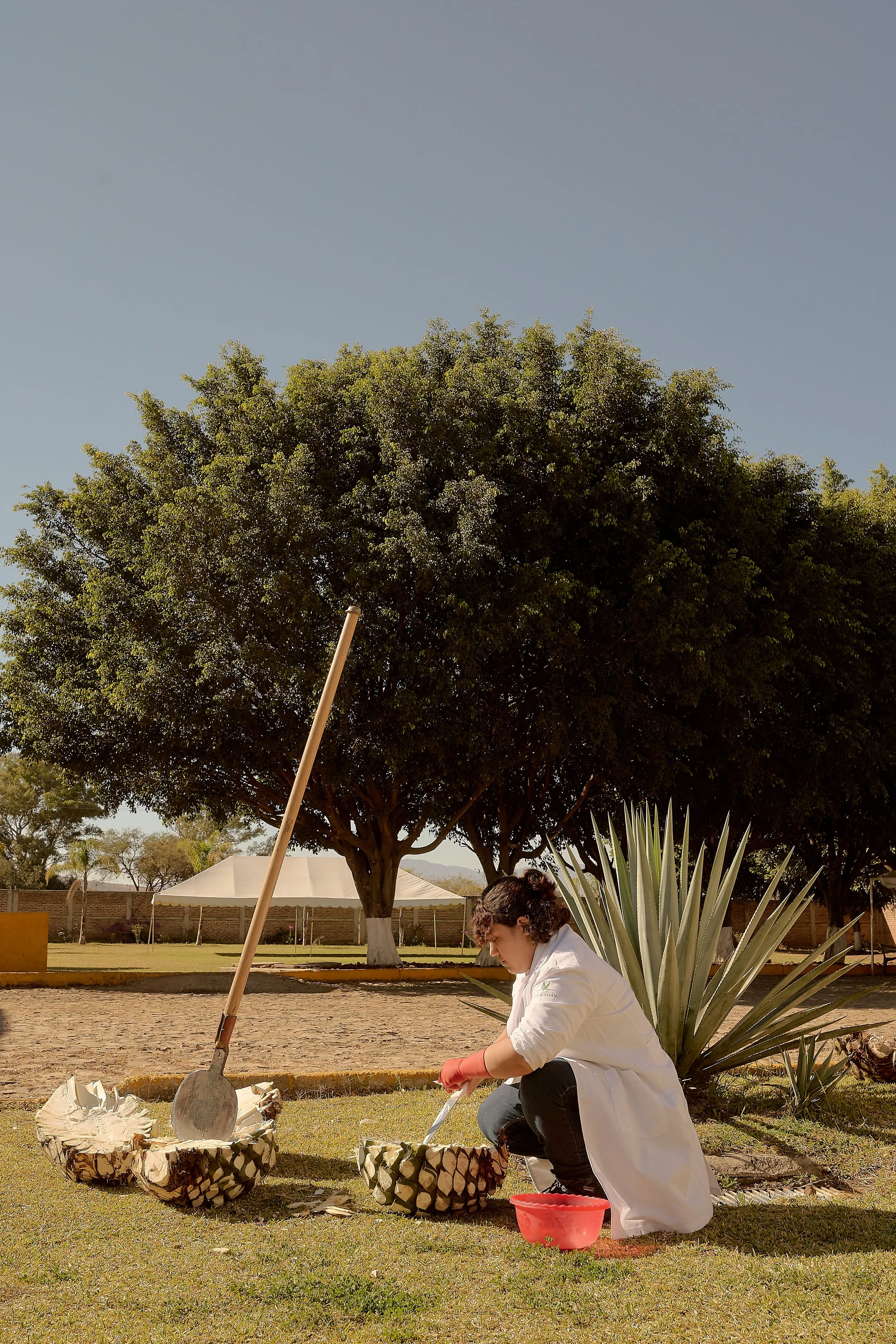 CarettoDeOro-EmSchultzPhoto-211 copy.jpg