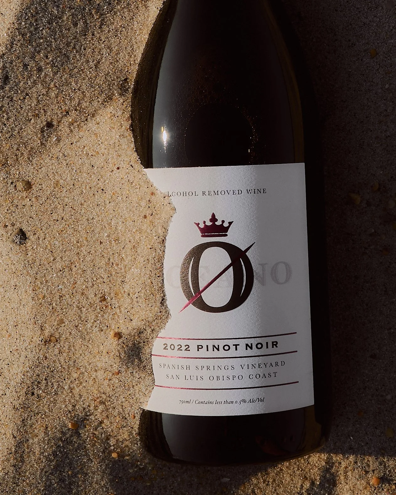 DSC_9037 copy.jpg (Copy)